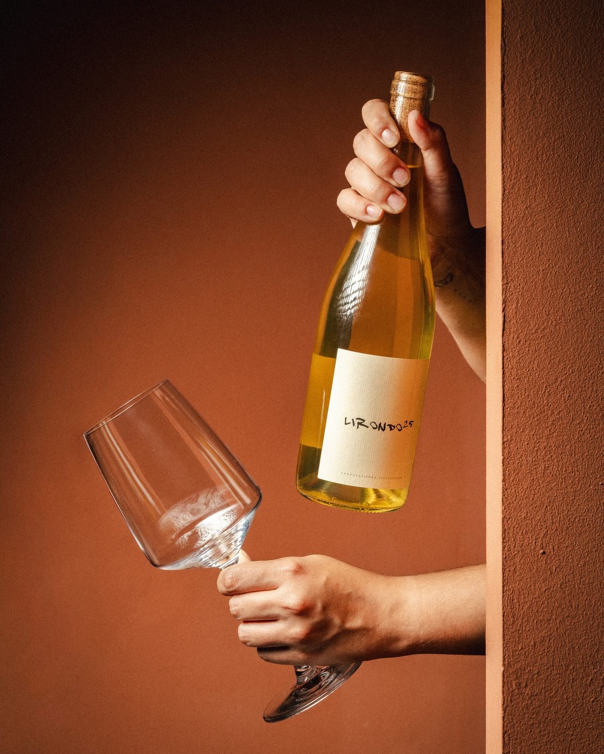 Fotografía de vino — Estudio Mise